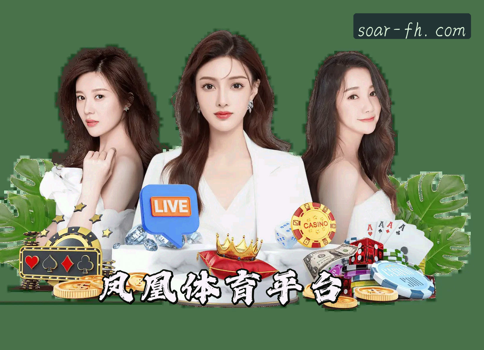 fh凤凰体育官网 | 展翅高飞